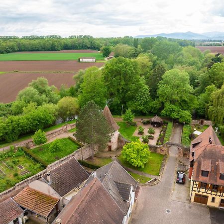 La Ruine - Gite D'Alsace Jusqu'A 10 Personnes Avec Spa Interieur Guémar Exterior foto