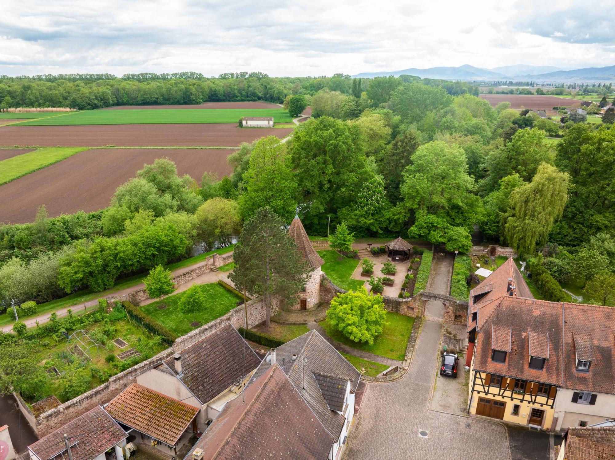 La Ruine - Gite D'Alsace Jusqu'A 10 Personnes Avec Spa Interieur Guémar Exterior foto